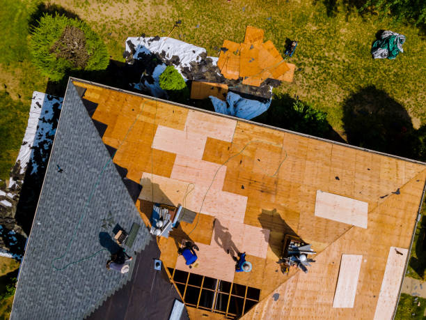 Best Roof Gutter Cleaning  in Fredericktown, OH