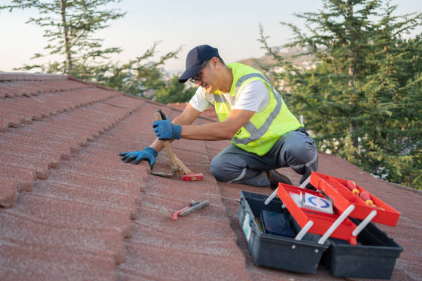 Best Roof Gutter Cleaning  in Fredericktown, OH